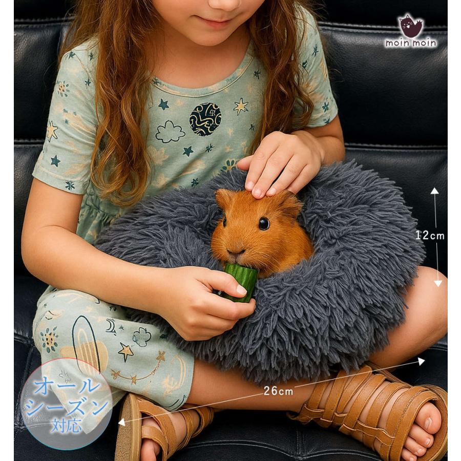 モルモット ハリネズミ チンチラ デグー フェレット プレーリードッグ