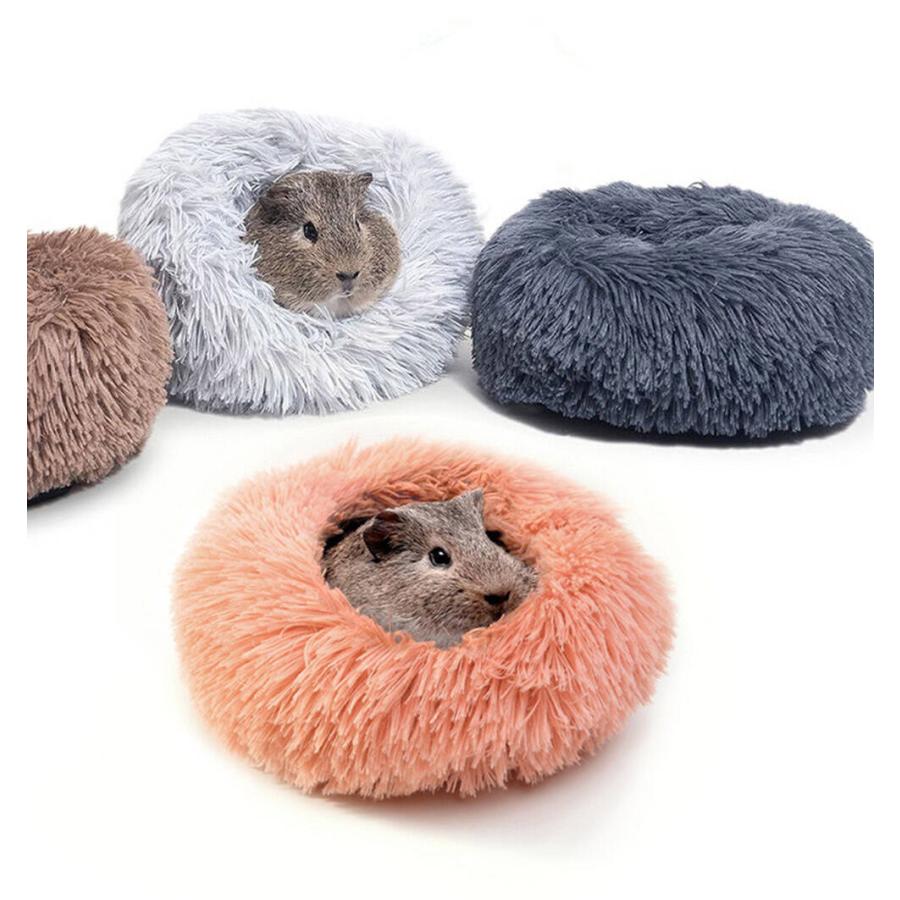 モルモット ハリネズミ チンチラ デグー フェレット プレーリードッグ