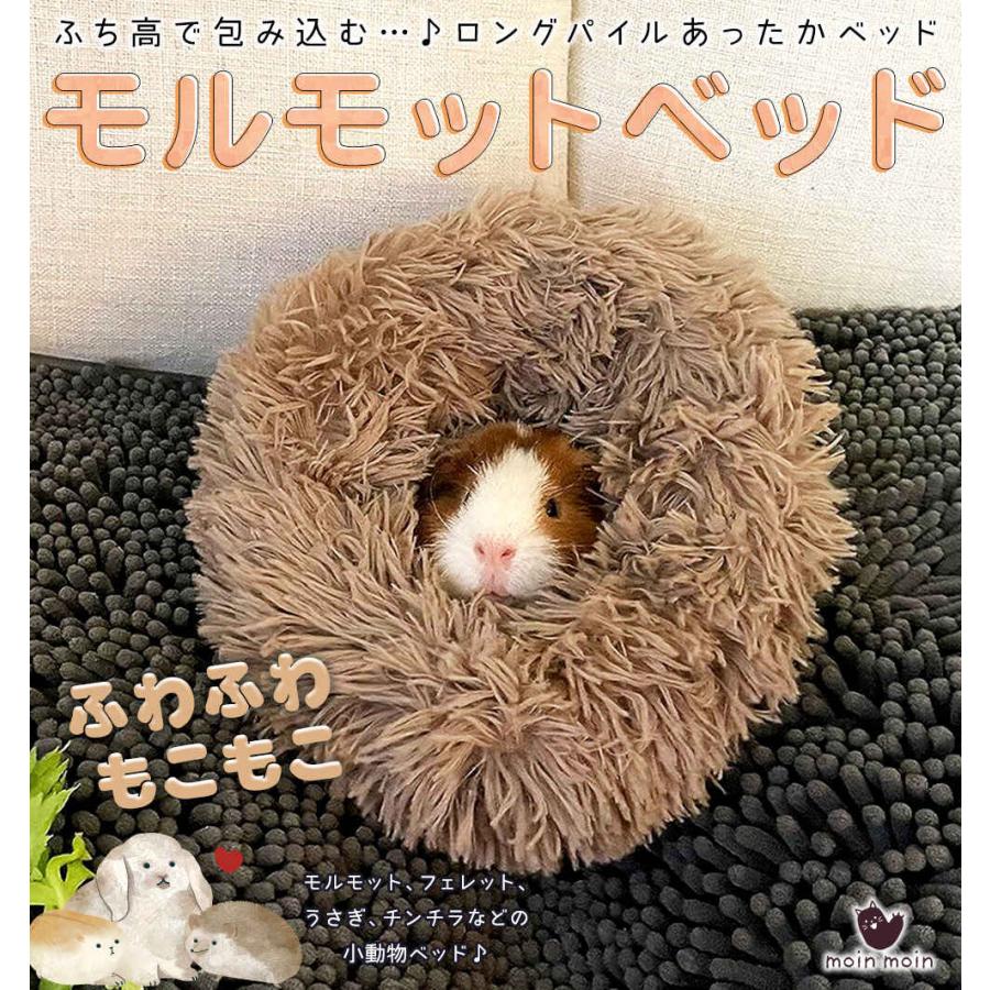 モルモット ハリネズミ チンチラ デグー フェレット プレーリードッグ