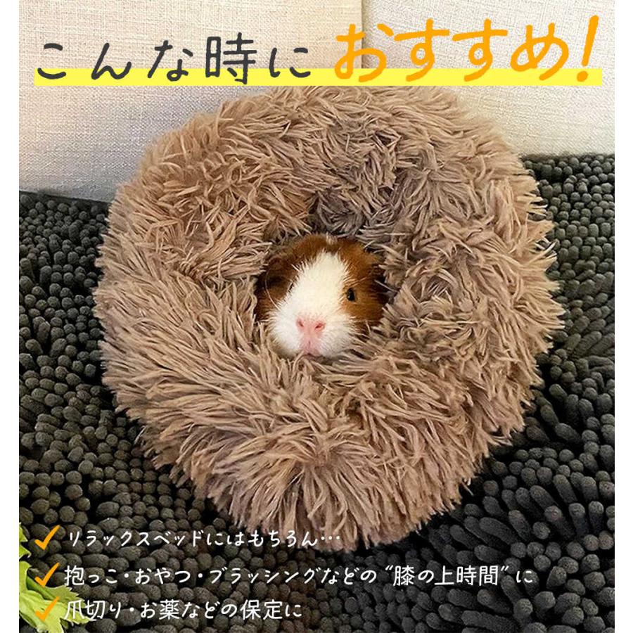 モルモット ハリネズミ チンチラ デグー フェレット プレーリードッグ