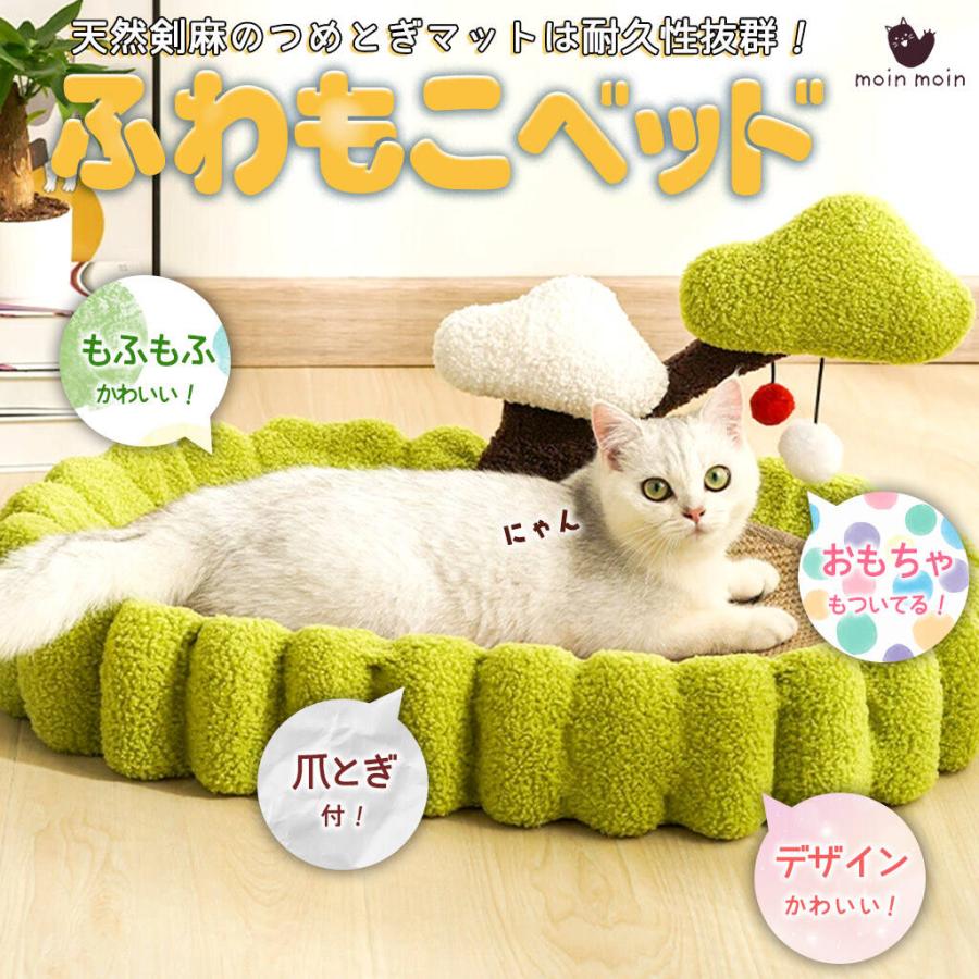 猫 子猫 ベッド 65cm クッション ハウス 家 おうち 大きめ サイズ 爪