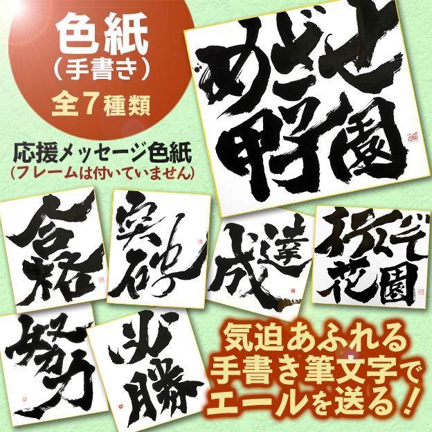 応援メッセージ色紙 受験合格願い 仕事応援 入学祝い 卒業祝い 目標達成 誕生日 プレゼント Mp9 01 Moji Para 筆文字パラダイス 通販 Yahoo ショッピング