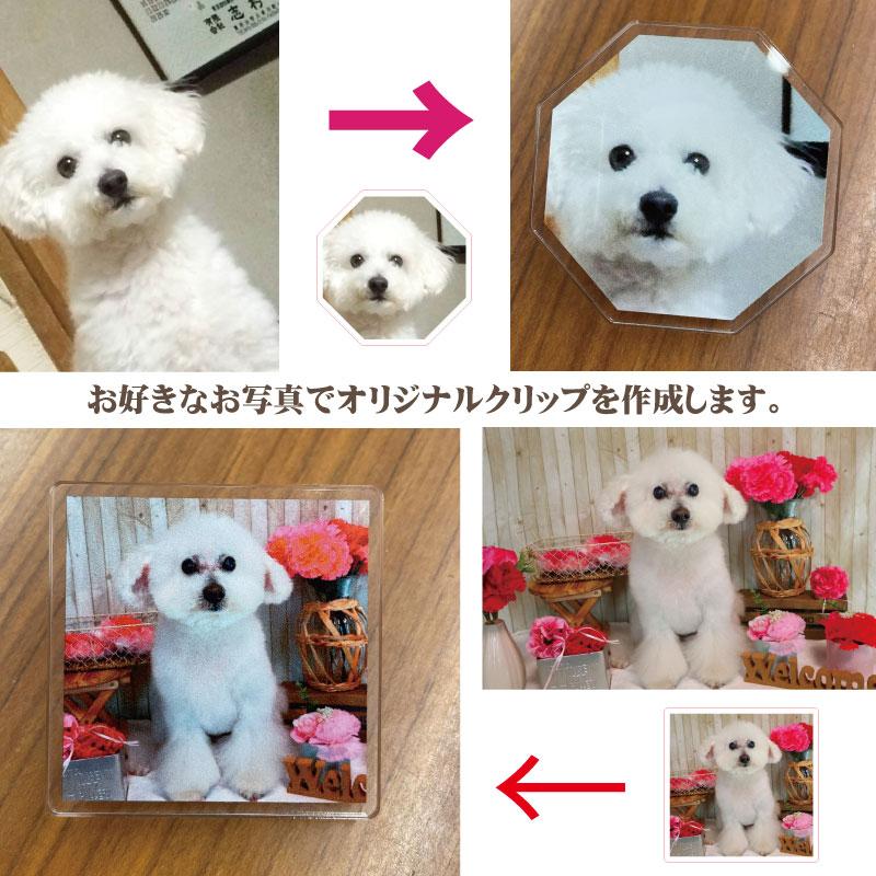 オーダーメイド「アクリルクリップ」画像入れ対応 イラスト  贈り物 ギフト プレゼント 記念品  景品 父の日 敬老の日 退職祝 誕生日 内祝い 出産祝 | 