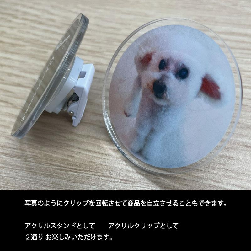 オーダーメイド「アクリルクリップ」画像入れ対応 イラスト  贈り物 ギフト プレゼント 記念品  景品 父の日 敬老の日 退職祝 誕生日 内祝い 出産祝 |  | 08