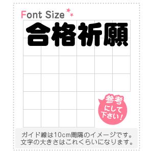 切り文字セット　【合格祈願】1文字のサイズ：L(140×140mm)素材：カッティングシート｜mojipara