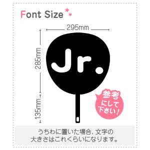 切り文字セット　【Ｊｒ．(アルファベット)】1文字のサイズ：L(140×140mm)素材：ホログラムシート・蛍光シート｜mojipara