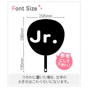 切り文字セット　【Ｊｒ．(アルファベット)】1文字のサイズ：M(120×120mm)素材：ホログラムシート・蛍光シート｜mojipara