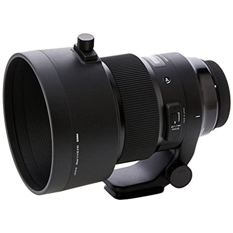 SIGMA 単焦点中望遠レンズ 105mm F1.4 DG HSM | Art A018 CANON-EFマウント用 フルサイズ対応