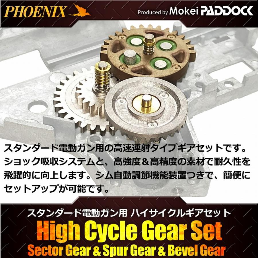 PHOENIX ハイプロテクション ハイサイクル ギアセット 17.4:1