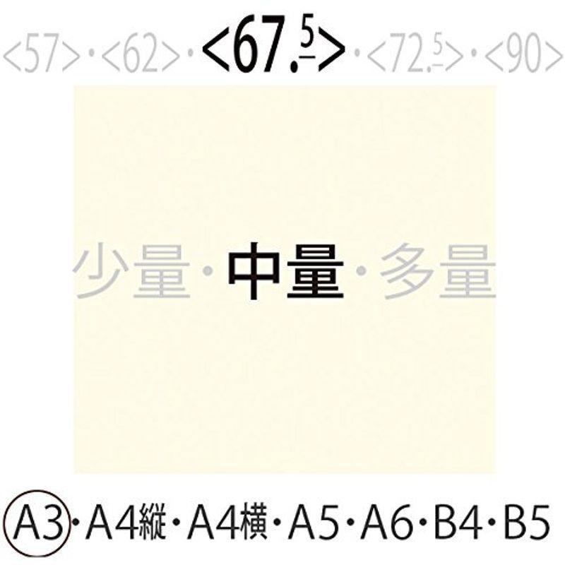 淡クリーム書籍(中量)A367.5(500枚)