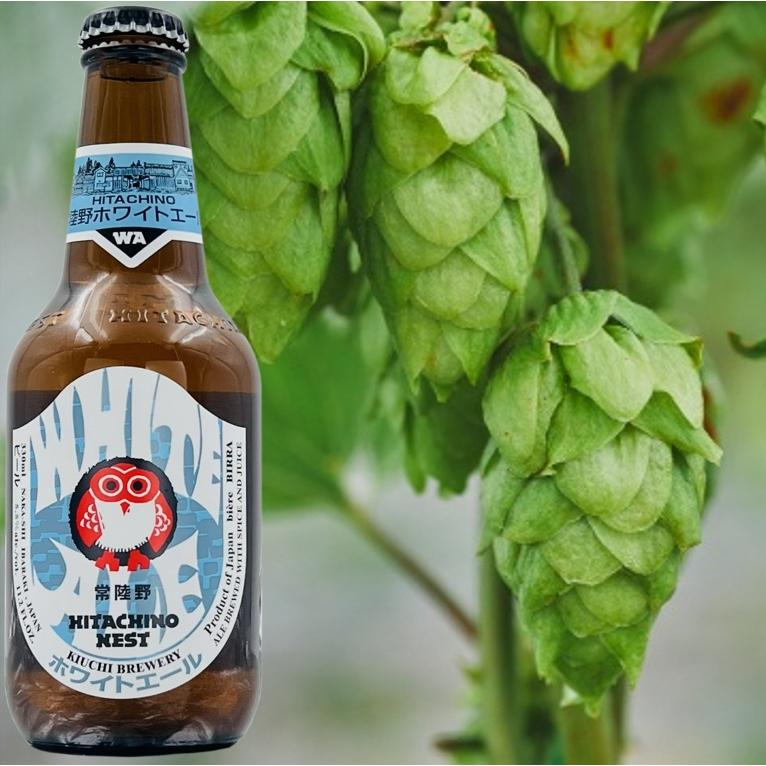 常陸野ネストビール ホワイトエール 330ml 24本入】 木内酒造