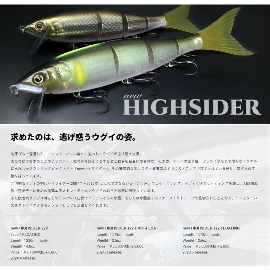 newハイサイダー220　new HIGHSIDER220　deps　デプス｜mokkoya｜08