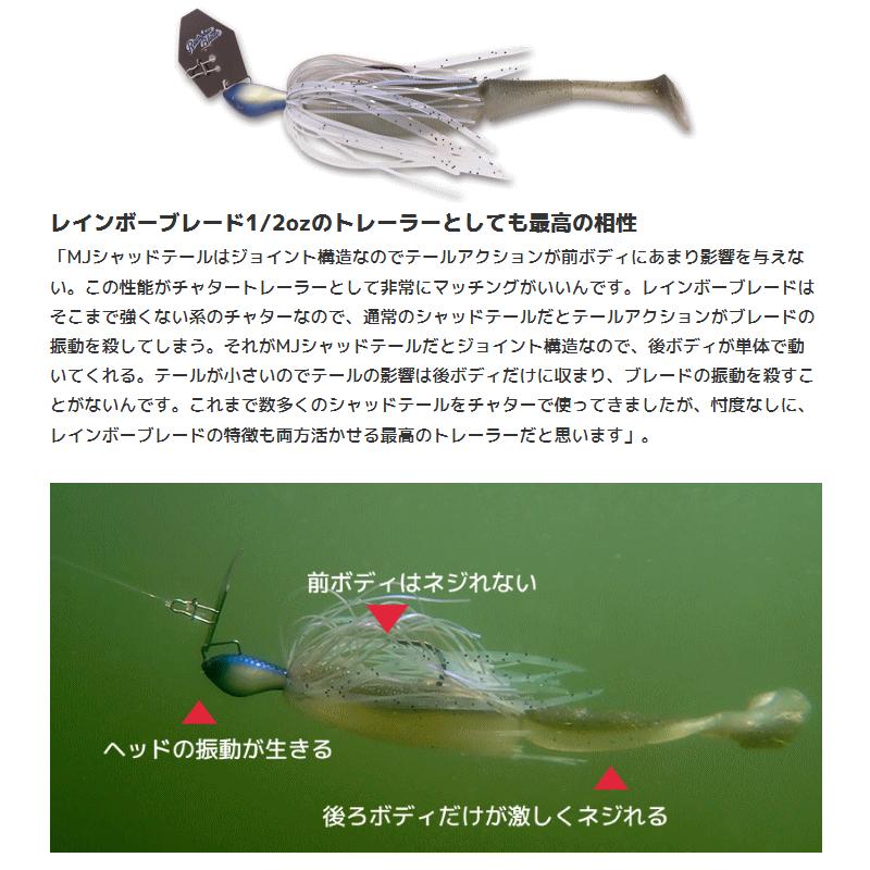 【ジャッカル】ソウルシャッド等　一誠デプスイマカツメガバスボトムアップノリーズ SOUL SHAD / ソウルシャッド - FRESH WATER バス釣り ｜JACKALL