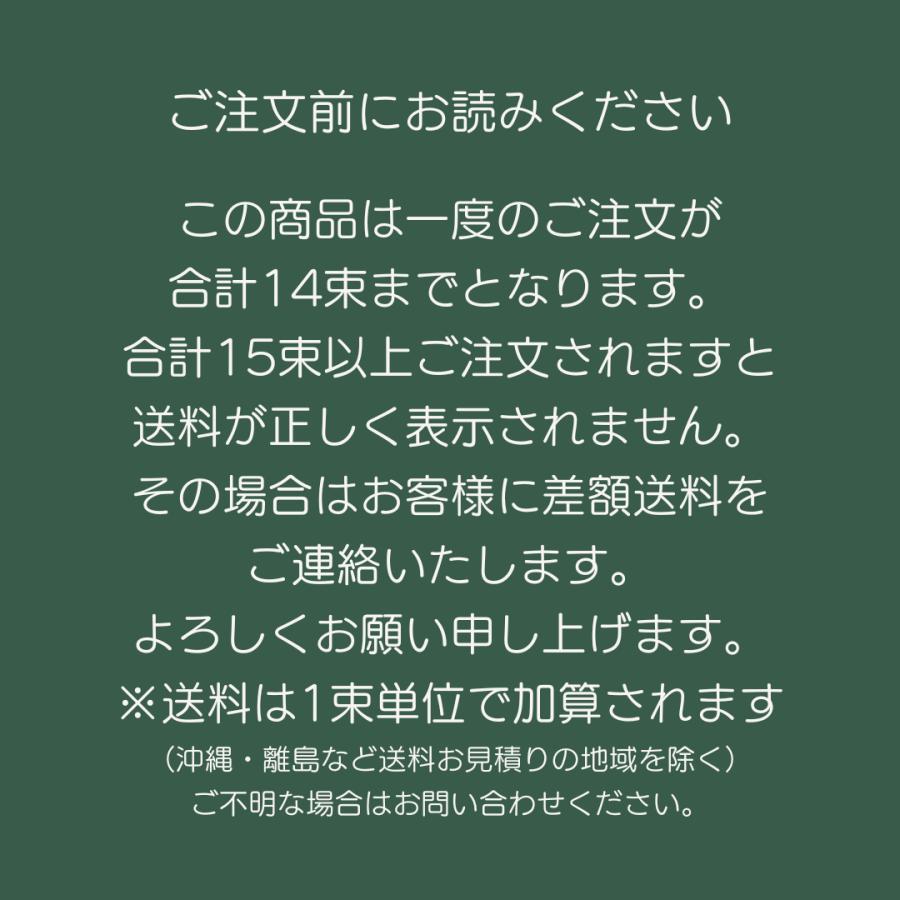 米ツガ ヘムロック 無垢 羽目板 板・柾込 上小 無塗装/オイル塗装 1950x100x8 10枚入 壁材 天井 腰板｜mokku-kenzaishop｜05