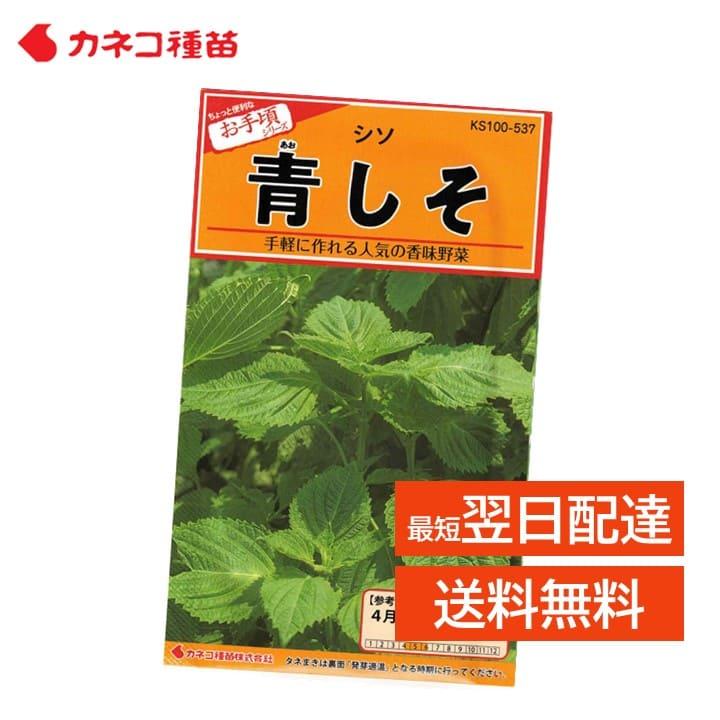 青しそ 種 家庭菜園 畑 プランター 業務用 手軽に作れる 手間いらず
