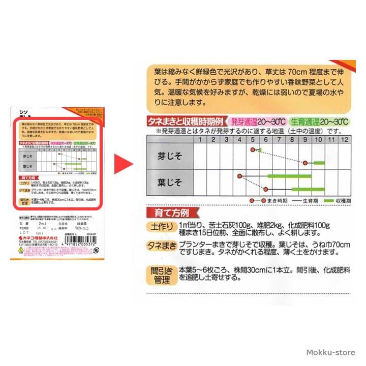 青しそ 種 2袋 家庭菜園 畑 プランター 業務用 手軽に作れる 手間いら