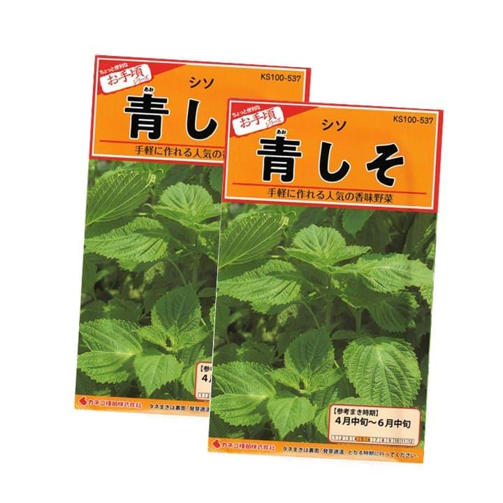 青しそ 種 2袋 家庭菜園 畑 プランター 業務用 手軽に作れる 手間いら