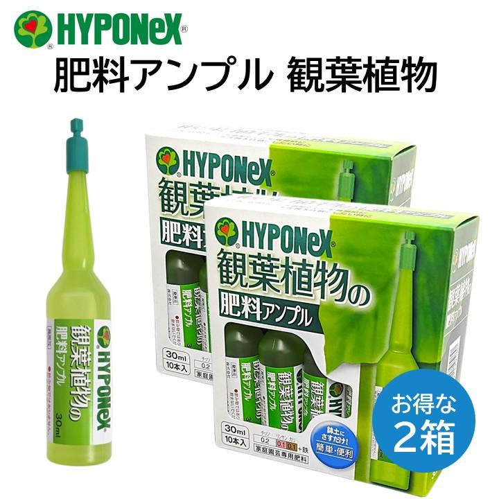 ハイポネックス アンプル 肥料 2箱セット 観葉植物用 30ml 10本入り