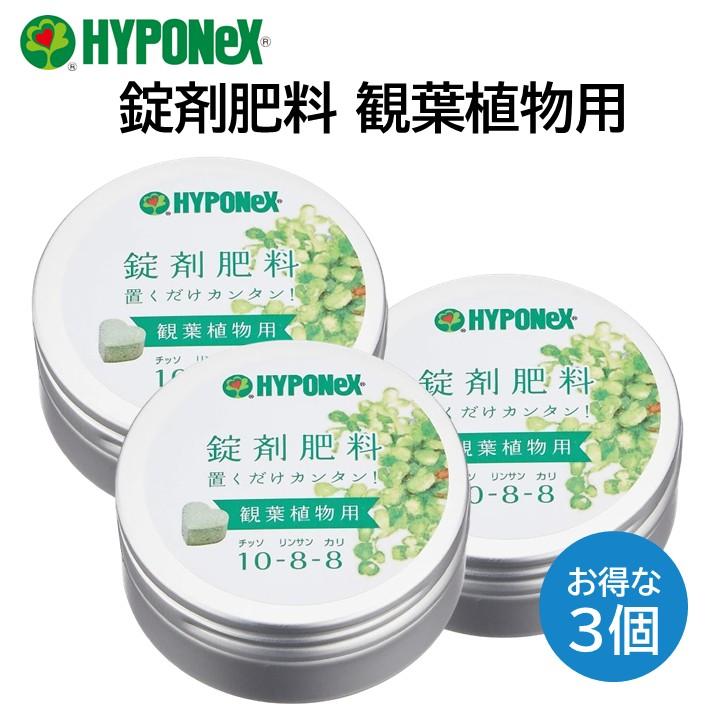 ハイポネックス 錠剤肥料 観葉植物用 3個 ハート型 鉢植え 1か月持続