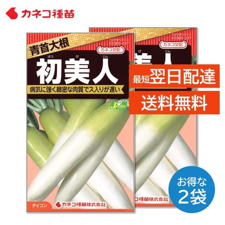 ダイコン 大根 種 2袋セット 病気に強い 緻密な肉質でおいしい ダイコン 大根 種 2袋セット 病気に強い 緻密な肉質でおいしい