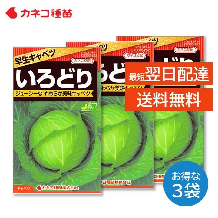 キャベツ 種 3袋セット 栽培しやすい 病気に強い 早生 年内どり 家庭