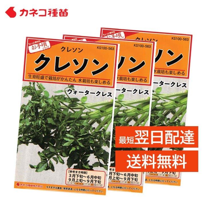 クレソン 種 3袋 家庭菜園 畑 プランター 栽培が簡単 水栽培も可能