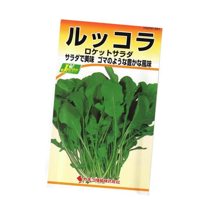 ルッコラ 種 家庭菜園 畑 プランター ゴマのような豊かな風味 業務用 手軽 イタリア料理 サラダ 肉料理 付け合わせ におすすめ ロケットサラダ 生産地 イタリア｜mokku-shop｜04