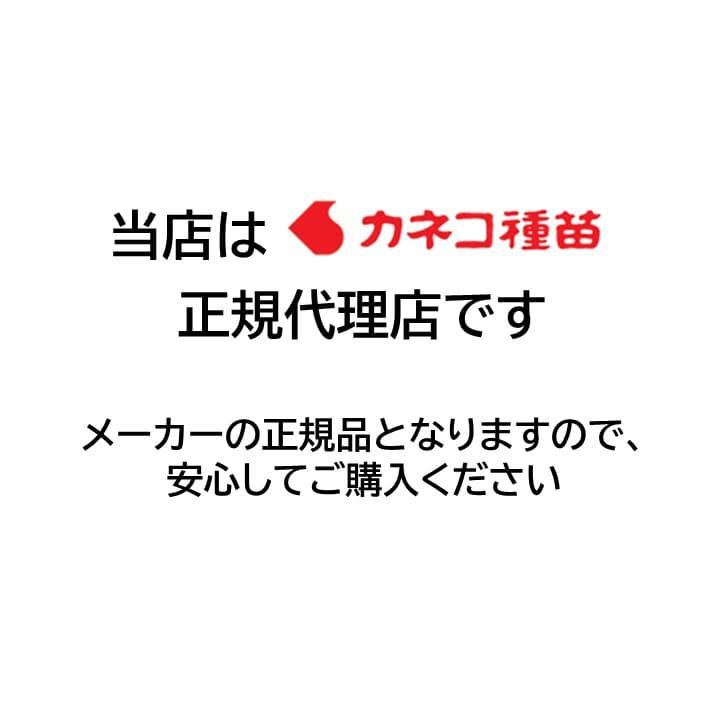 西洋芝の種 芝生 種 30平米 9坪分 1.5L 日本の気候に適した配合 家庭 高品質 初心者の方にもおすすめ DIY 業務用 日陰 カネコ種苗 J ガーデン｜mokku-shop｜02