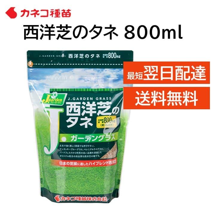 西洋芝の種 芝生 種 15平米 4.5坪分 800ml 日本の気候に適した配合 家庭 高品質 補修 隙間 初心者の方にもおすすめ DIY 業務用 日陰 カネコ種苗 J ガーデン（Yahoo!・モックストア）