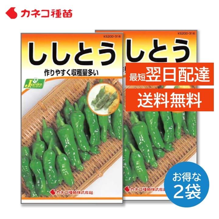 【にしこ☆様】専用・緑360ｇ×2袋≪リクエスト特割特価≫ ししとう 種 2袋セット 早生 甘く風味が良い たくさん獲れる 家庭菜園