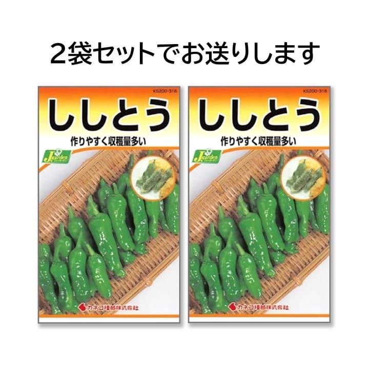 【にしこ☆様】専用・緑360ｇ×2袋≪リクエスト特割特価≫ ししとう 種 2袋セット 早生 甘く風味が良い たくさん獲れる 家庭菜園