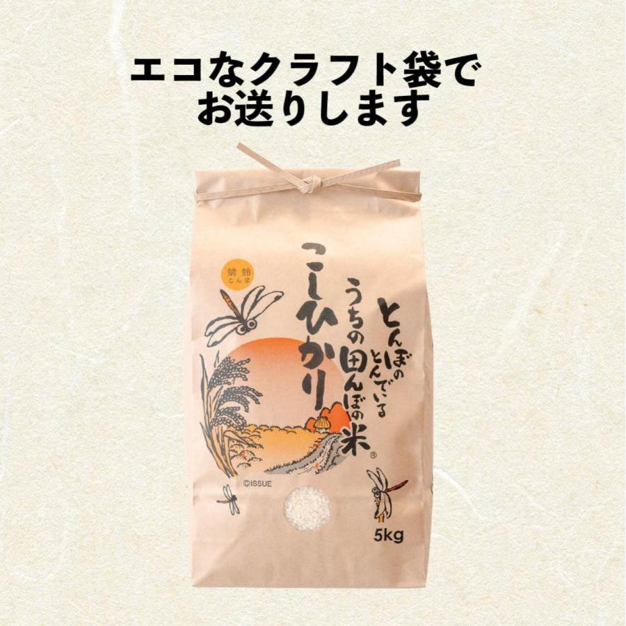 新潟 コシヒカリ 5kg 令和7年産 送料無料 (沖縄/九州/北海道除く) 有機