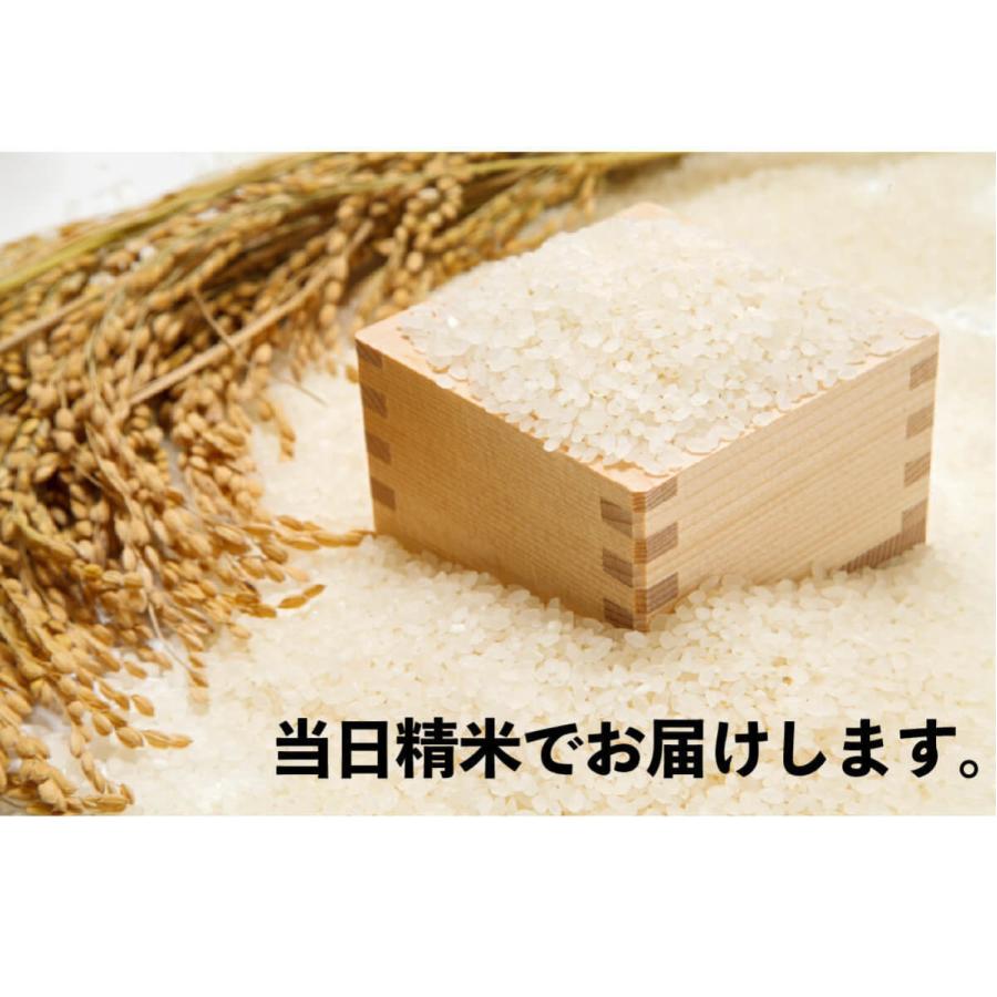 新潟 コシヒカリ 5kg 令和7年産 送料無料 (沖縄/九州/北海道除く) 有機