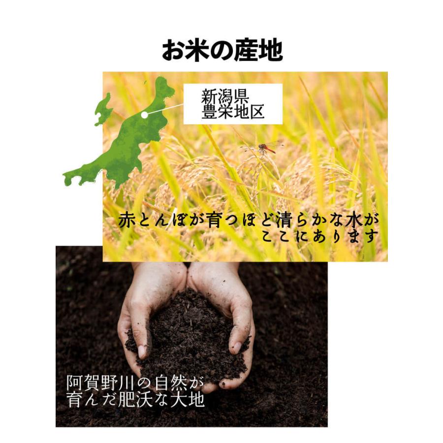 鹿児島県産ヒノヒカリ天日干し　R6年産5kg送料無料　数量限定　お子様にも安心 令和2年産】BG無洗米鹿児島県産ヒノヒカリ5Kg ※送料は別途の