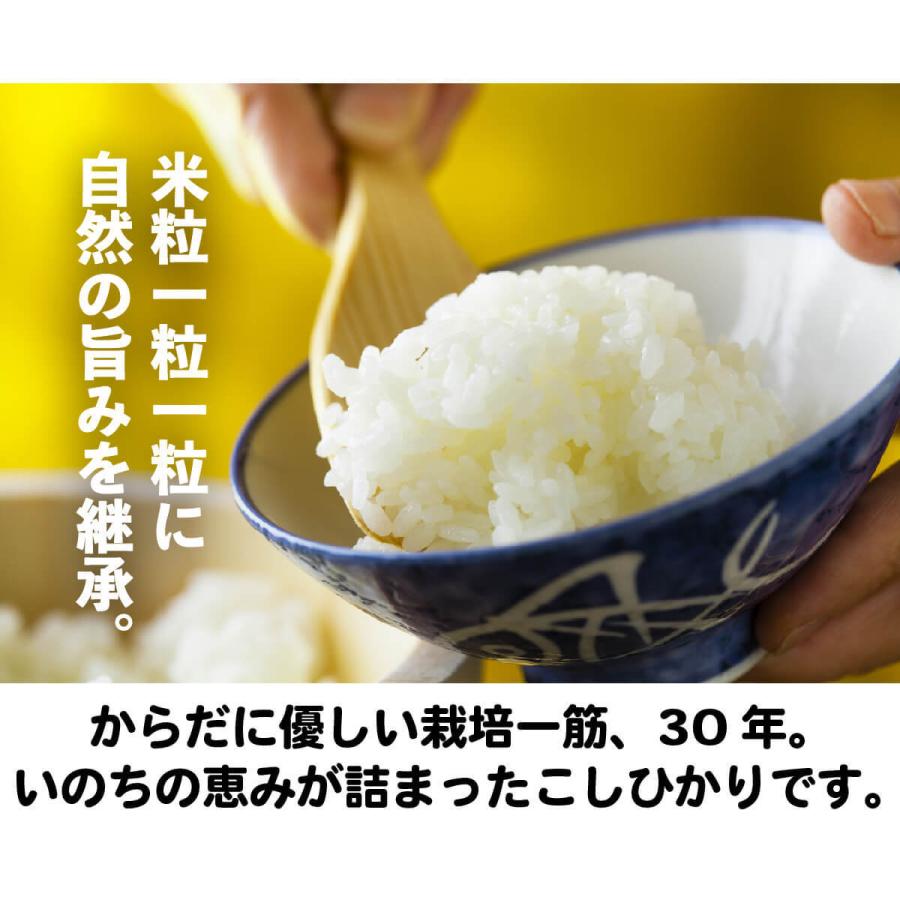 令和5年産 新米 新潟 コシヒカリ 米 ポイント消化 お試し 送料無料 真空パック 有機肥料 産直 特A お米 お取り寄せ 一人暮らし 少量 安心 900g 6合｜mokku-shop｜05