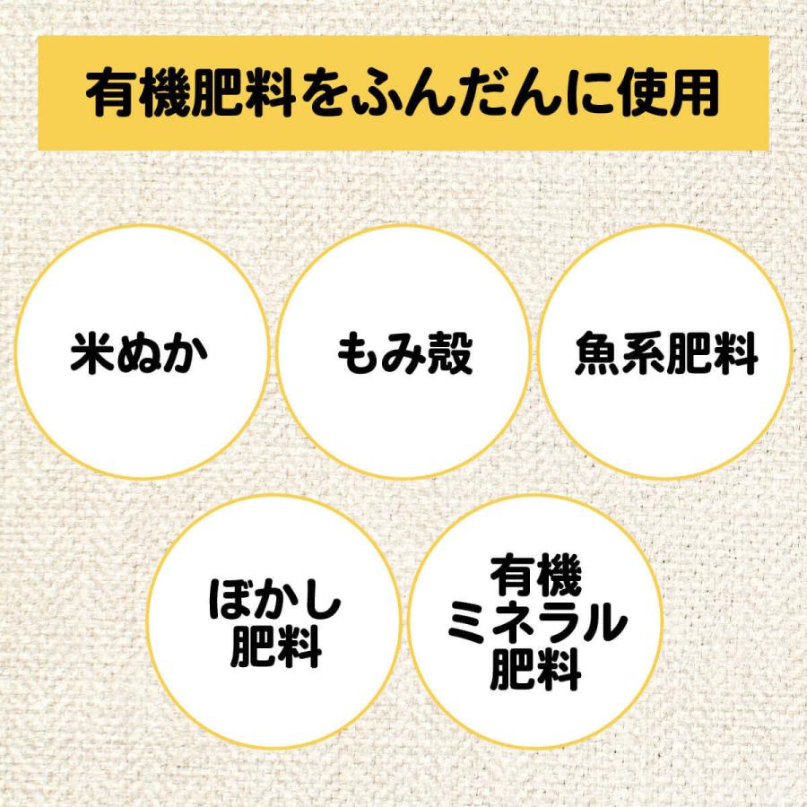 令和5年産 新米 新潟 コシヒカリ 米 ポイント消化 お試し 送料無料 真空パック 有機肥料 産直 特A お米 お取り寄せ 一人暮らし 少量 安心 900g 6合｜mokku-shop｜07