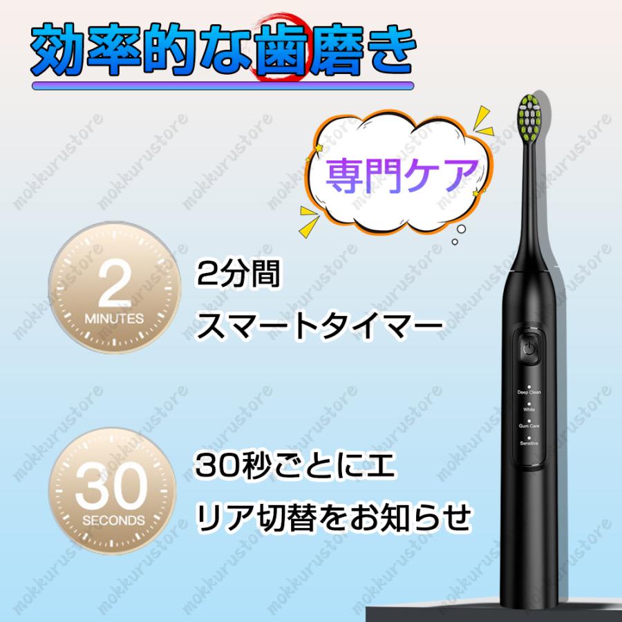 音波・震動・電動歯ブラシ 高性能】電動歯ブラシ USB充電式 音波歯ブラシ 高速振動 42,000回/分