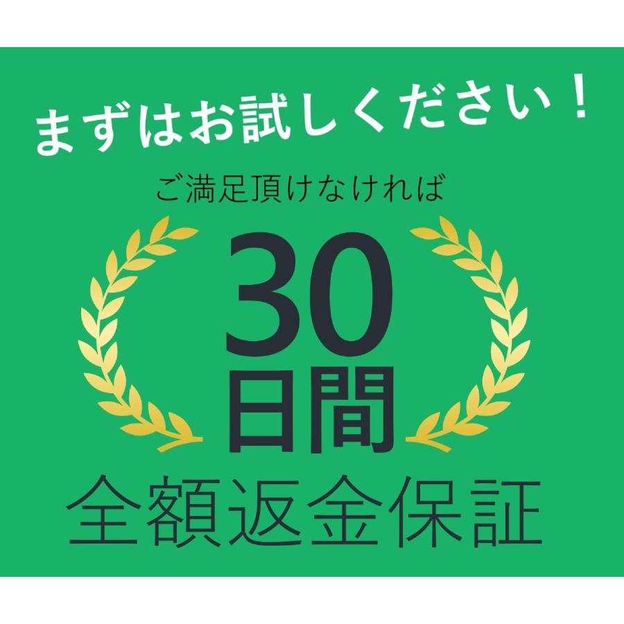 LEDランタン 充電式 最大1000ルーメン ランタン 連続点灯30時間 防災 N-FORCE（エヌフォース）RS-10 防災グッズ 停電｜moko2｜15