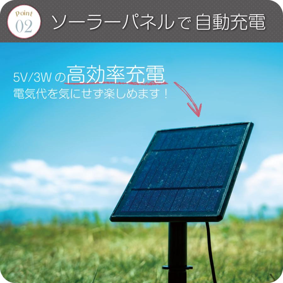 ガーデンライト ソーラーライト 屋外 防水 庭 LED ストリングライト おしゃれ ソーラー led ベランダ アンティーク  [ENTLIGHT] S2 | ブランド登録なし | 09