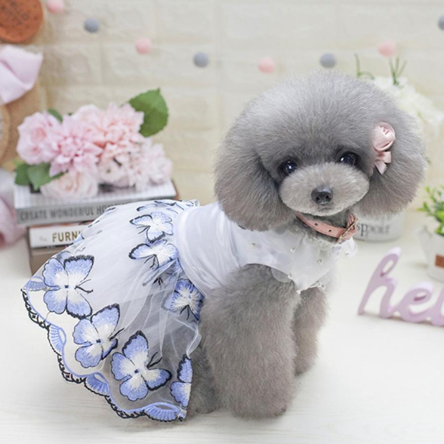 バタフライワンピース Blue 蝶 ブランド 可愛い 人気 パーティー 女の子 フリフリ かわいい 流行 ドレス スカート ワンピース レース Db55 272 犬の洋服ならドッグウエア通販moko 通販 Yahoo ショッピング