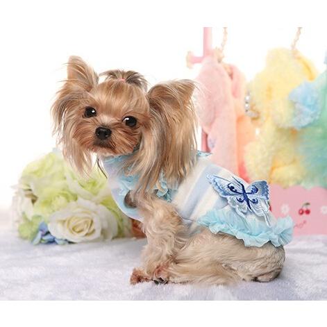 バタフライシャツ Mko 犬服 ストライプ 裏起毛 ペット服 姫系 インスタ 人気 秋冬 かわいい キラキラ Mko12 58hh298 2 犬の洋服 ならドッグウエア通販moko 通販 Yahoo ショッピング