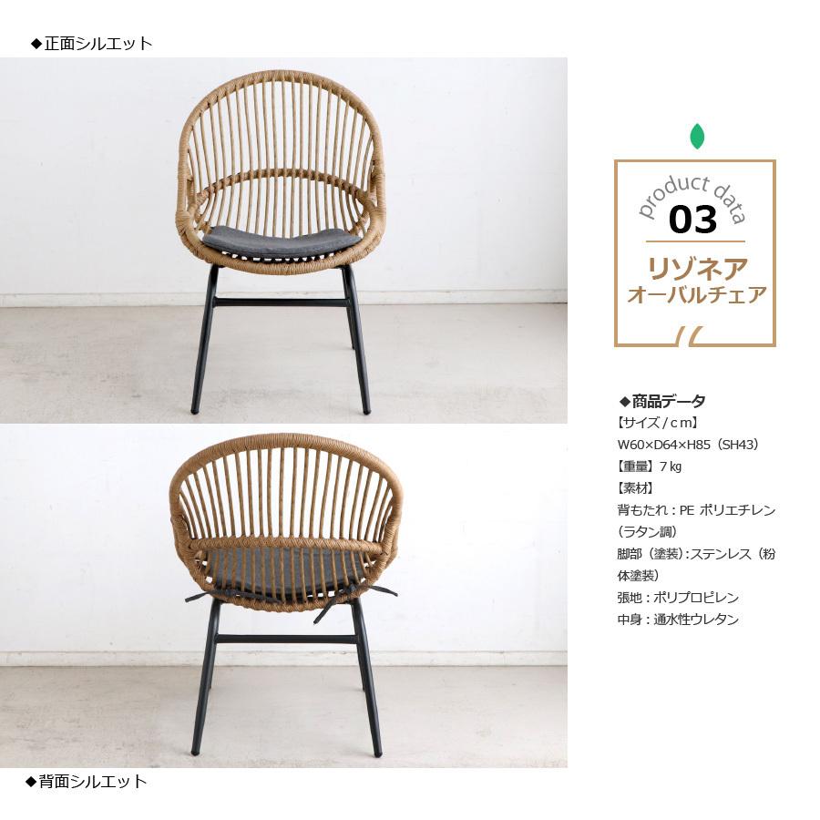ガーデンチェア リゾート リゾネア オーバルチェア （2脚入り） : 大川