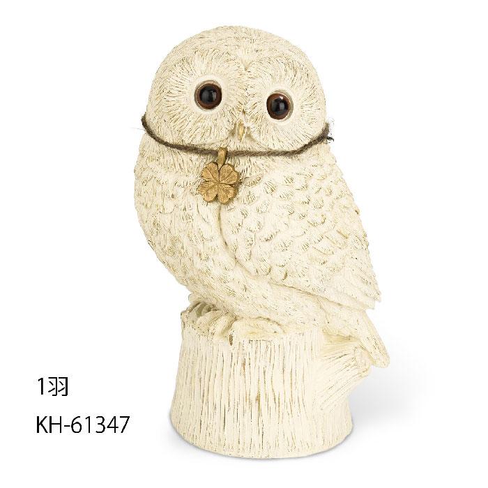 18000→半額セール期間限定！フクロウ 掛軸 布製 18000→半額セール期間限定！フクロウ 掛軸 布製