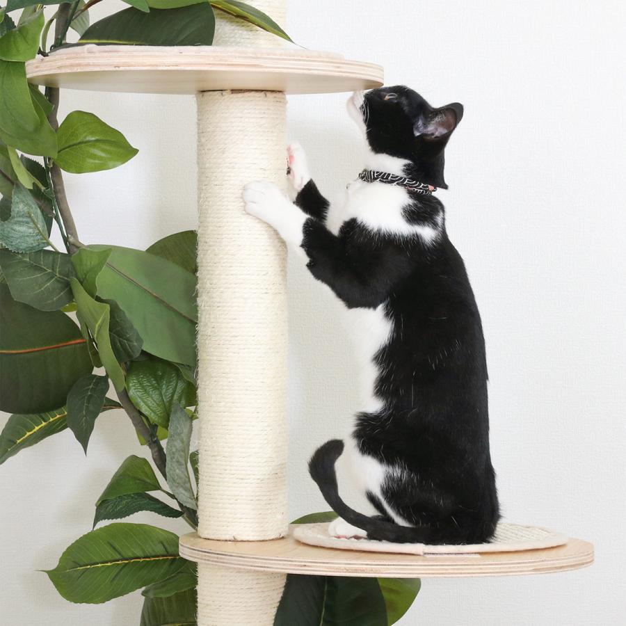 不二貿易（Fuji Boeki） キャットツリー キャットタワー 猫 ねこ 爪