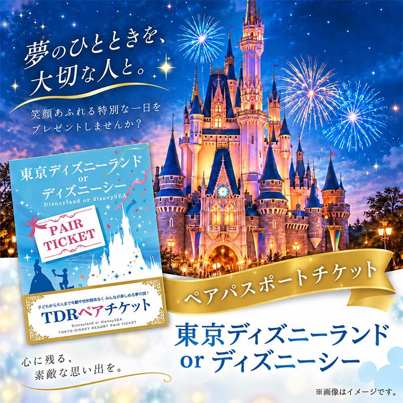 ディズニーランドorディズニーシーペアチケット目録 ノベルティ 景品 ディズニー チケット ランド or シー ペアチケット パネル ビンゴ