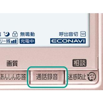 Panasonic（パナソニック） 子機5台付 受話器コードレスタイプ