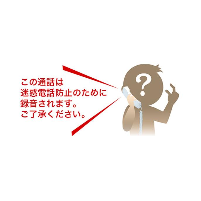 パナソニック 受話器コードレスタイプ 留守番 電話機  VE-GD56-N or VE-GZ51-N(親機のみ、子機なし) 迷惑電話対策  漢字表示｜mokus｜08