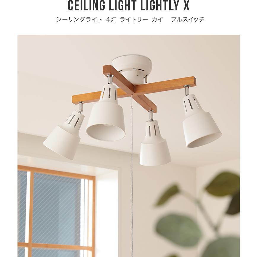 シーリングライト LED・スポットライト 4灯 ライトリーカイ プル