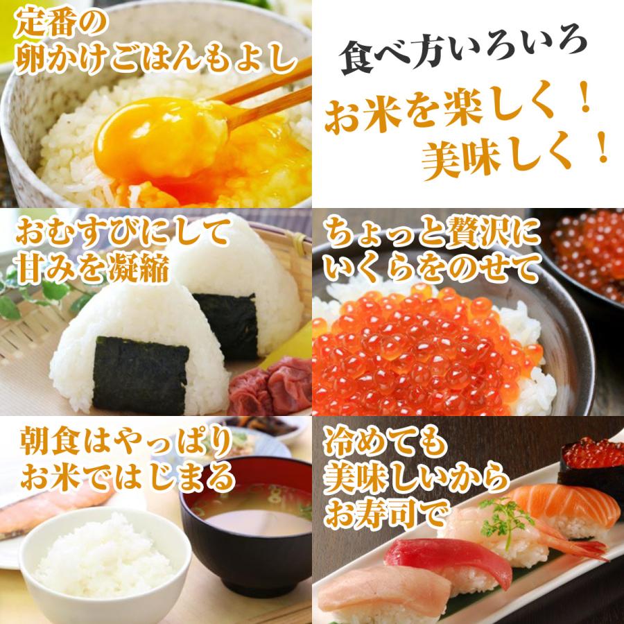 あきたこまち 令和6年秋田県産 玄米20kg(精米後18kg) : 村 あきたこまち 令和6年秋田県産 玄米20kg(精米後18kg) : 村