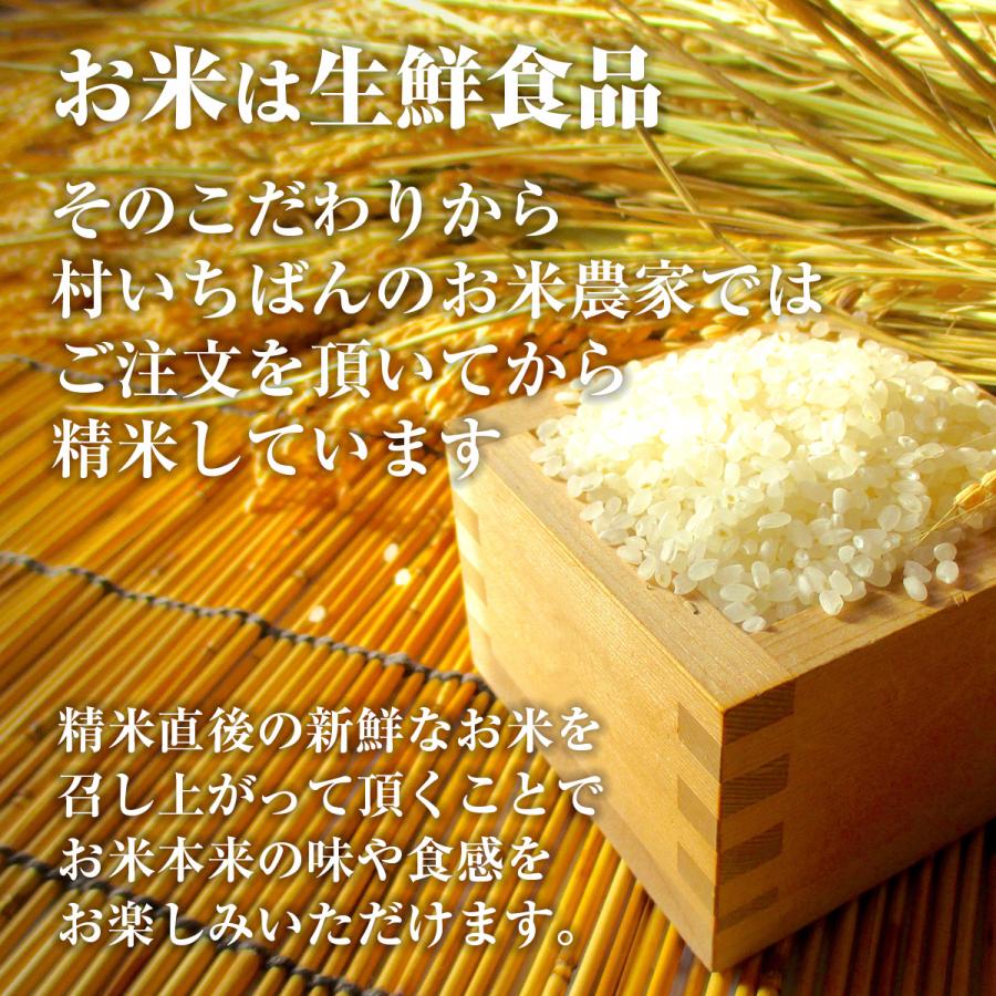 あきたこまち 令和5年秋田県産 玄米30kg(精米後27kg)｜momigaraenergy｜05